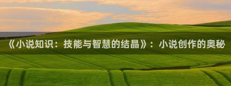 八零奇书网txt免费全本：《小说知识：技能与智慧的结晶》：小说创作的奥秘
